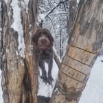 Steven P. Schmitz - @steven.schmitz - Instagram