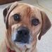 StevenJanice Schneiderman - Facebook