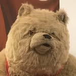 Steven Scholes - @stevenprobablyreadthat - Instagram