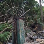 Steve Schooler - @schooler.s - Instagram