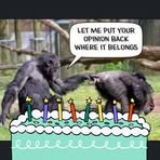Steven Schreck - Facebook
