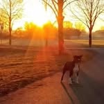 Stevender Schreckliche - @stevenderschreckliche - Instagram