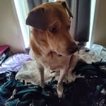 Steve Schrock - @w1ldstall101n - Instagram