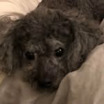 Steve Schrock - @steve.schrock.16 - Instagram