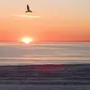 Steven Schuler - @steven.schuler0 - TikTok