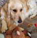 Steven Schuster - Facebook
