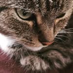 Steven Sealey - @stevensealey2 - Instagram