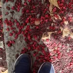 Steven Seay - @husekdummerki - Instagram