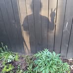 Steven Seebach - Facebook