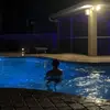 sessions - @sessions.steven - TikTok