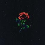 Steven Shaffer - @its_just_steven33 - Instagram