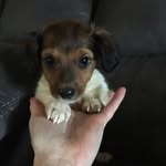 Steven Shaffer - @stevencraft05_ - Instagram
