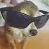 Steven Sheeley - @stevensheeley - TikTok