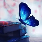 StevenSherry33 - @stevensherry33 - Instagram
