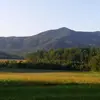 Steven Shipman - @stevens.shipman02 - TikTok