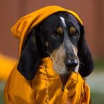 Steve Shirk - @shirk.steve - Instagram