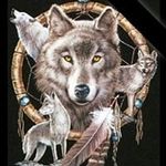 Steven Shultz - @steven.shultz.509 - Instagram