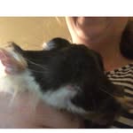 Steven Shutt - @stevenandbarry - Instagram