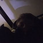 Tyler Steven Shuttleworth - @tylersteven.shuttleworth - Instagram