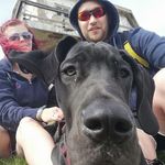 Steven Sievers - @sieverstvyt - Instagram