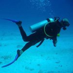 Steven Sikes - @stevensikes00 - Instagram