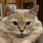 Steve Silvey - @silvey.steve - Instagram
