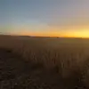 Steven Simmons - @stevensimmons542 - TikTok