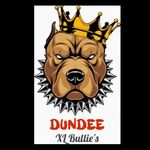 Steven Sinclair - @dundee_xl_bullys - Instagram