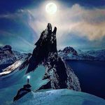Steven Singleton - @adaptivefocus - Instagram