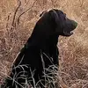 Steven Singleton - @steven.singleton - TikTok
