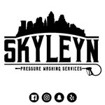 Steven Singleton - @skyleyn_pressure_washing - Instagram