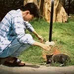 Steven Siow - @asiow15 - Instagram
