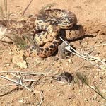 Steve Sitter - @steve.sitter.750 - Instagram