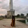 Steven Slagle - @steven.slagle5 - TikTok