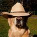 Steve Slaton - Facebook