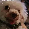 Steven Slinker - @stevenslinker - TikTok