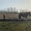 Steven Lyster - @steven.lyster - TikTok