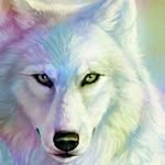 Steven Smale - @steven.smale - Instagram