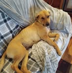 Steve Sobczak - Facebook
