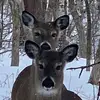 Stephen Soderlund - @stephen.soderlund - TikTok