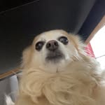 Steven Sok - @steven_soks - Instagram