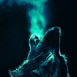 Steven Souter - @steve1738131 - Instagram