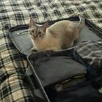 Stephen Sowell - @sds082000 - Instagram