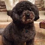 Steven Spatz - @stevenspatz - Instagram
