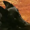 stephen.speight - @stephen.speight - TikTok