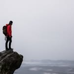 Steven Spillane - @stevenspillanes - Instagram