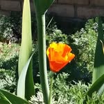 Steven Spiller - @spiller2586 - Instagram