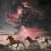 Steven Spillman - Facebook