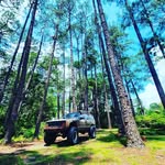 Steven Springfield - @goldiloxxj - Instagram