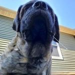 Steven Sprouse - @stevensprouse - Instagram